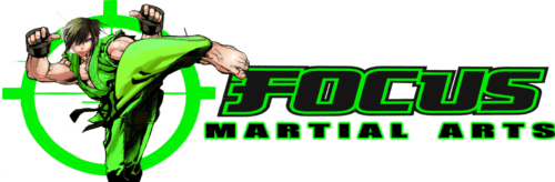 focus martial arts brisbane and gold coast
