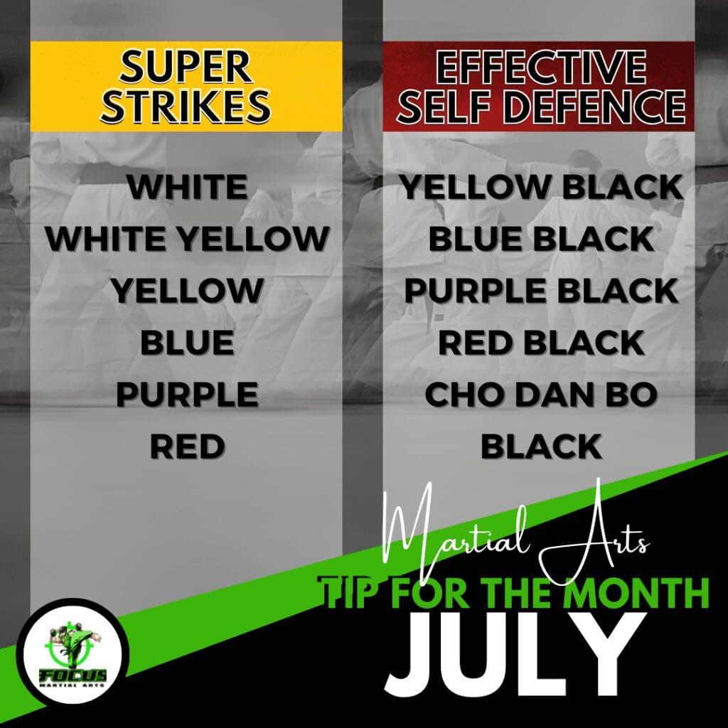 Martial Arts Brisbane Ninja News &#8211; V1 July 2022