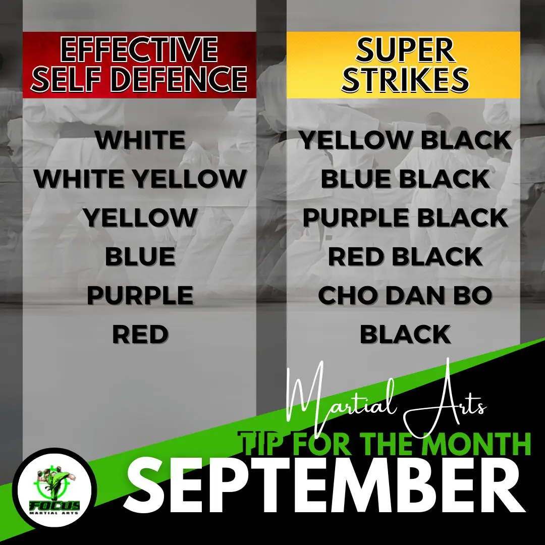 Martial Arts Brisbane Ninja News &#8211; V1 November 2022