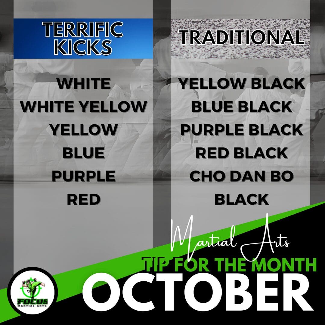 Martial Arts Brisbane Ninja News &#8211; V2 August 2022