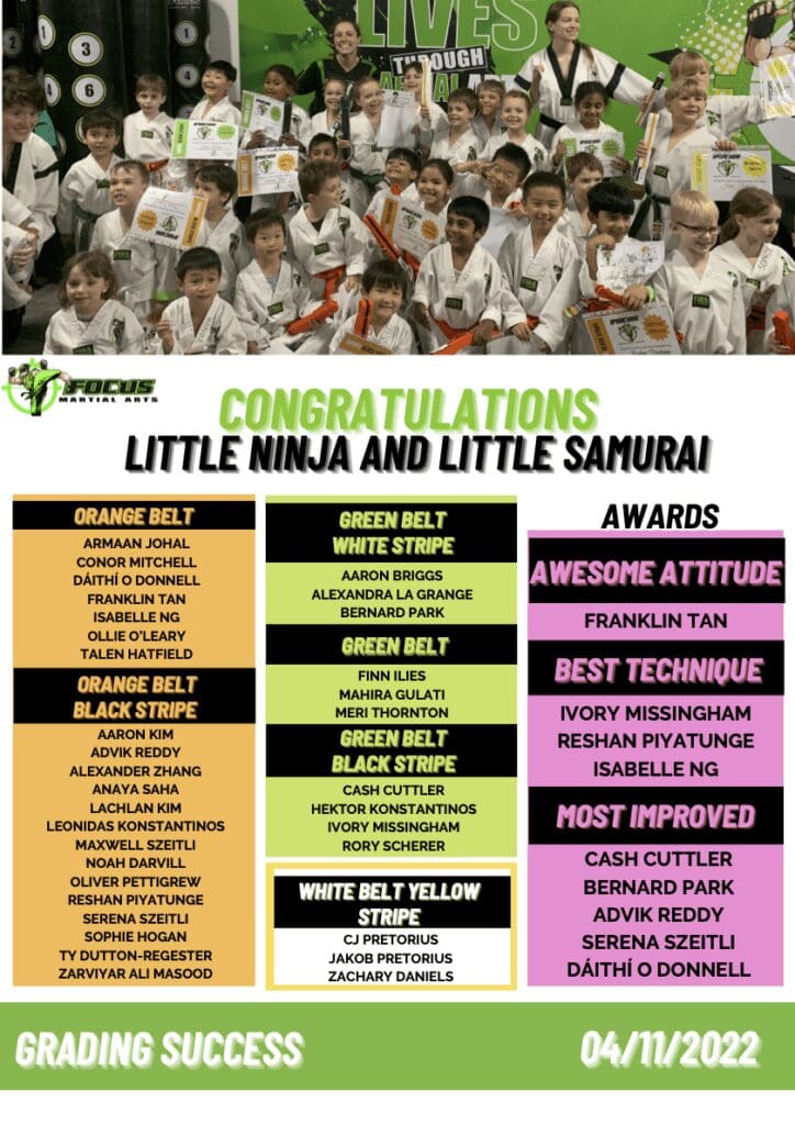 Martial Arts Brisbane Ninja News &#8211; V1 November 2022