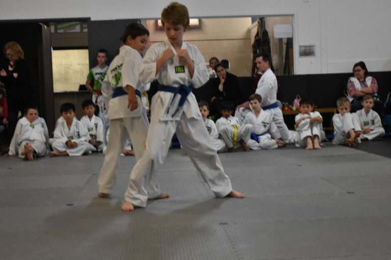 Kids Taekwondo Classes Mackenzie