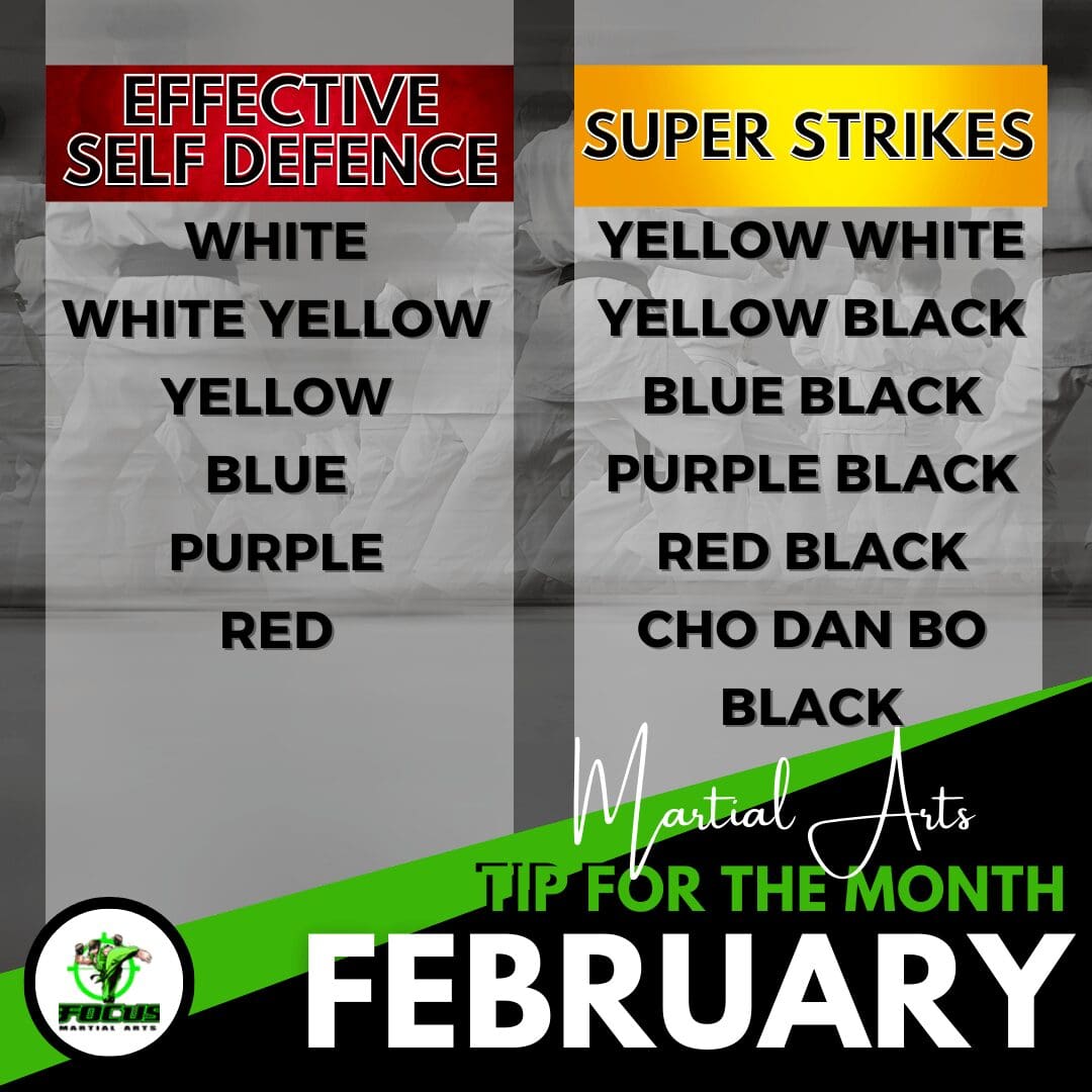 kids martial arts brisbane