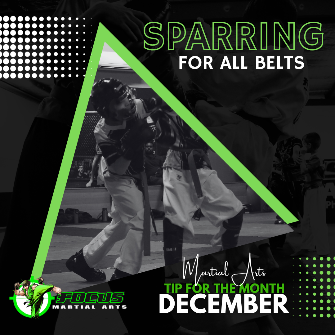 Focus Martial Arts brisbane