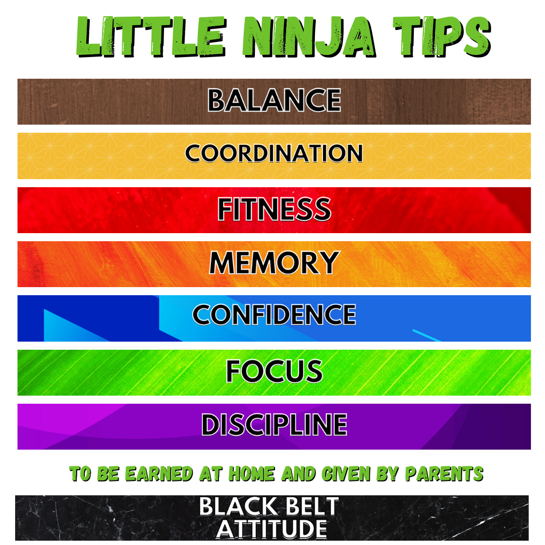 Martial Arts Brisbane Ninja News &#8211; V1 June 2024