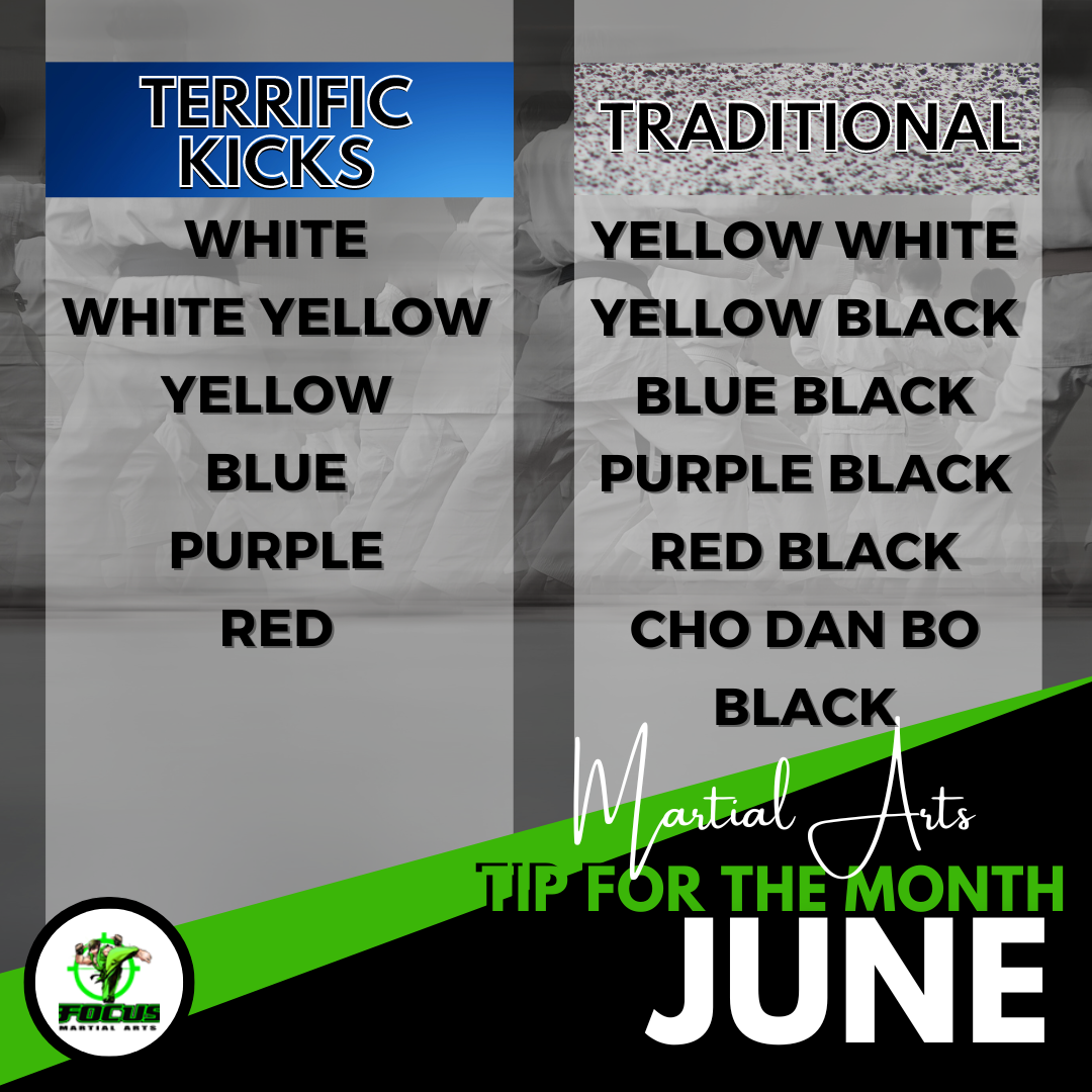 Martial Arts Brisbane Ninja News &#8211; V1 June 2024