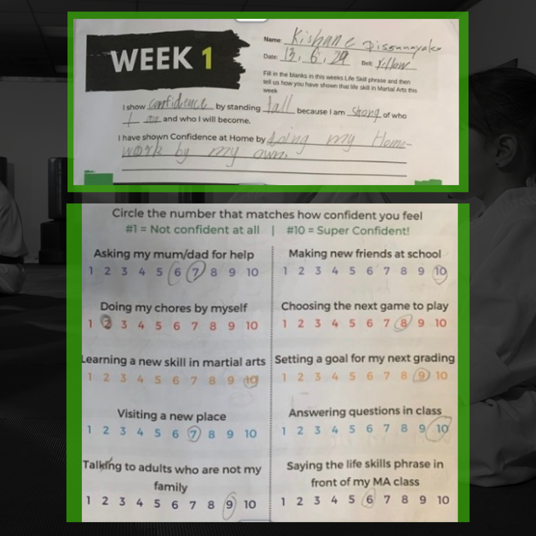 Martial Arts Brisbane Ninja News &#8211; V1 July 2024