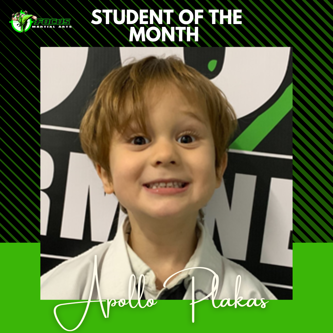 Martial Arts Brisbane Ninja News - V2 July 2024 | Focus MA