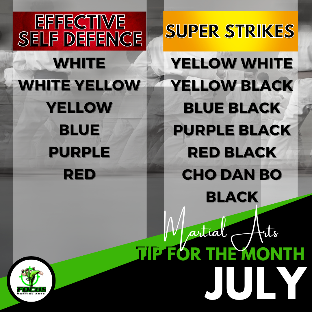 Martial Arts Brisbane Ninja News &#8211; V1 July 2024