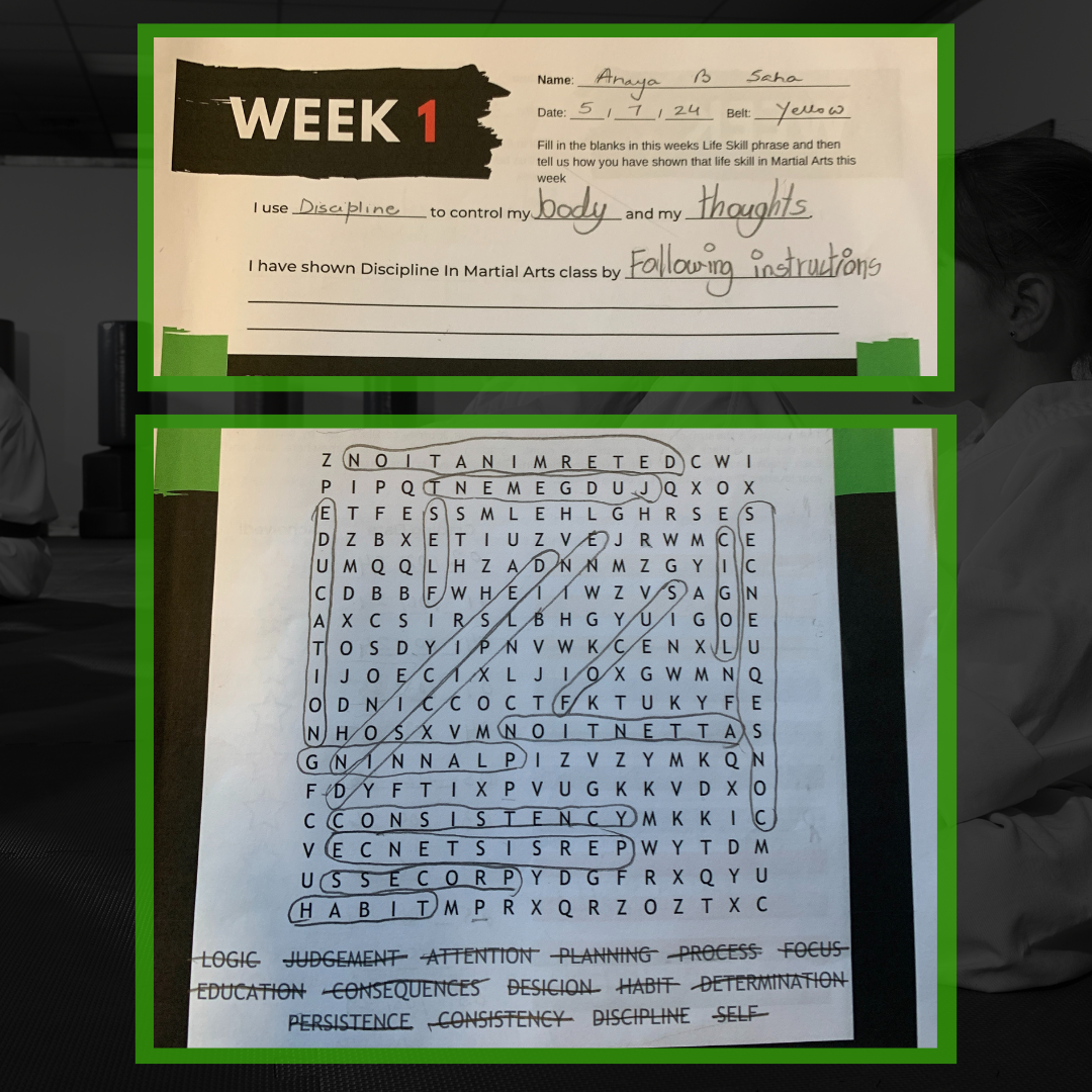 Martial Arts Brisbane Ninja News - V1 August 2024 | Focus MA