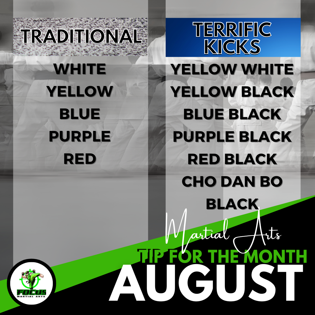 Martial Arts Brisbane Ninja News - V1 August 2024 | Focus MA