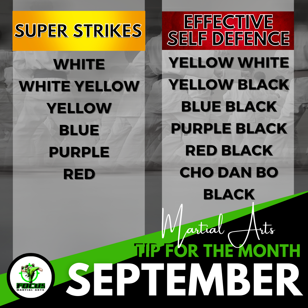 Martial Arts Brisbane Ninja News - V2 August 2024 | Focus MA