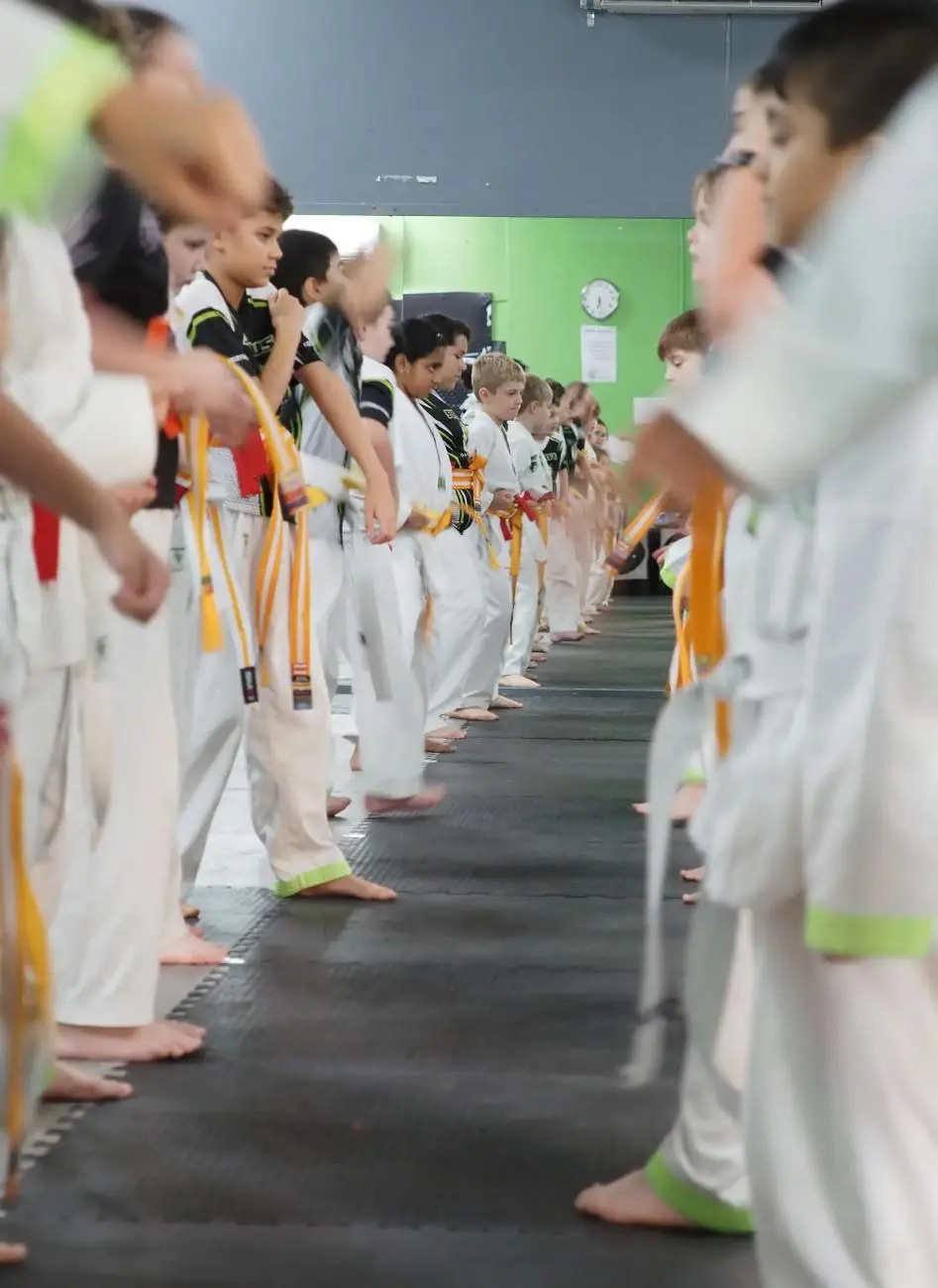 Children lined up wearing gi uniforms during Brazilian jiu jitsu belt training and class structure