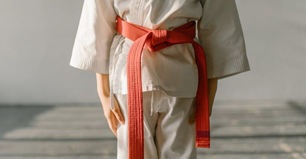 Red belt progression featured in a taekwondo training guide for beginners