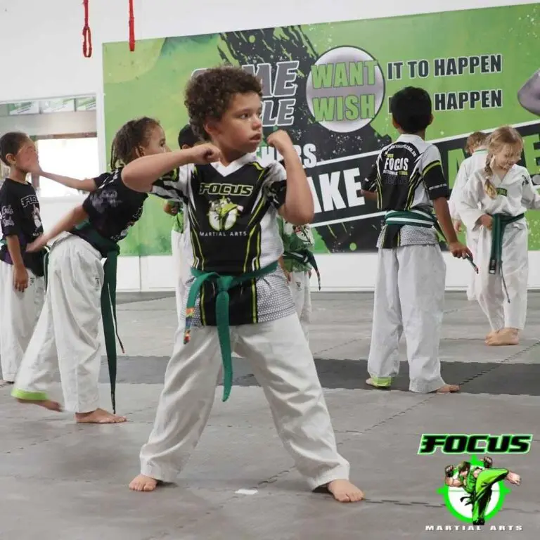 Karate stance basics alignment for beginner students