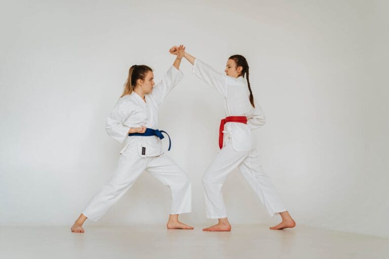 Two karate practitioners demonstrating a blocking and striking sequence during partner practice, karate kata meaning