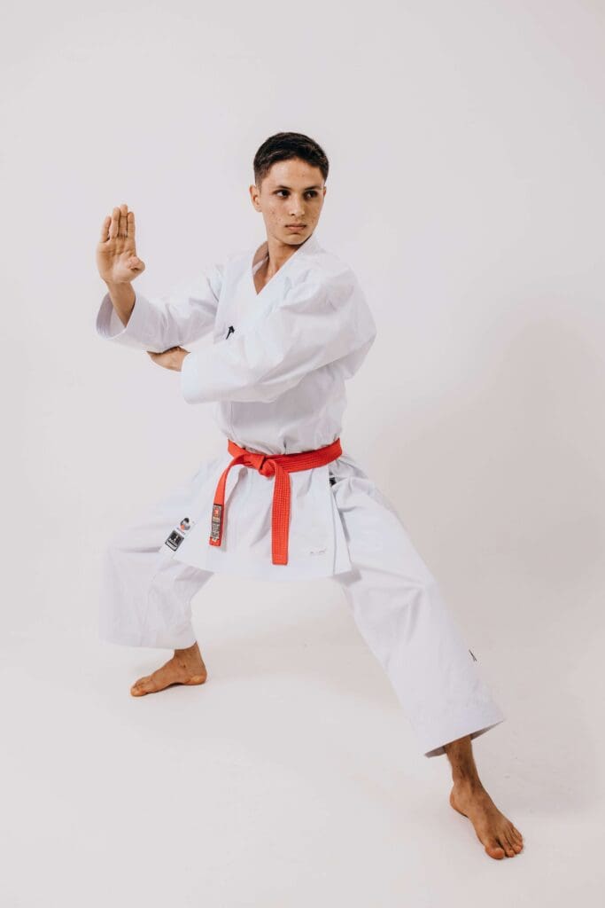 Karate practitioner performing a traditional stance and open-hand technique during kata practice, karate kata meaning